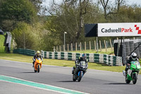 Lower Group Black Bikes